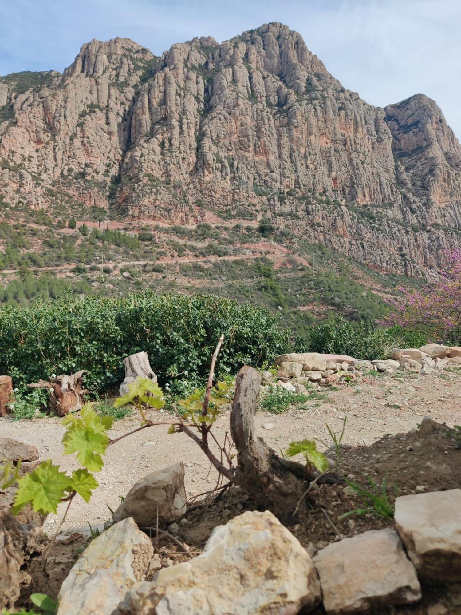 Cal Simon- Casa A Montserrat Collbato ภายนอก รูปภาพ